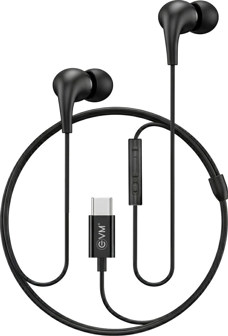 EVM Type-C Earphones Hi-Res Audio, Mic - Image 2