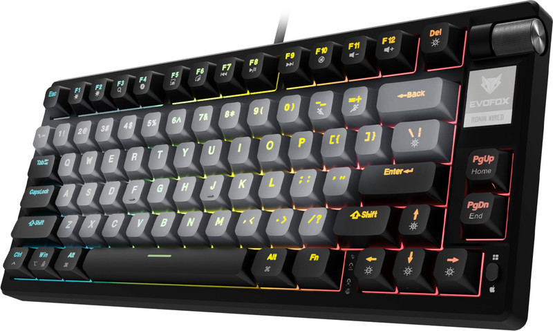 EVOFOX Ronin TKL RGB Mechanical Wired USB Tenkeyless Gaming Keybo...more deal from flipkart