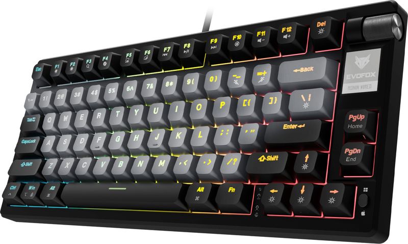 EVOFOX Ronin TKL RGB Mechanical Wired USB Tenkeyless Gaming Keybo...more deal from flipkart