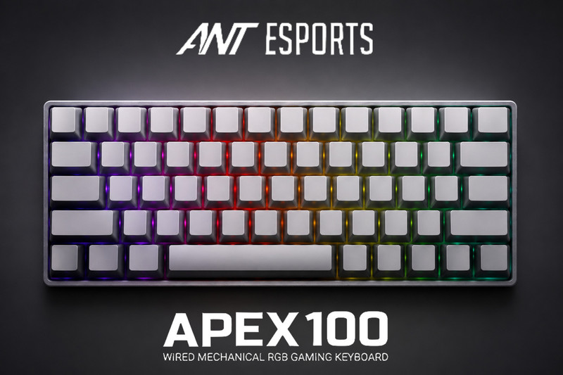 Ant Esports APEX 100 Mechanical Wired USB Standard Gaming Keyboard Compatible with Desktop, iPad, Laptop, Mac, Tablet (Grey)