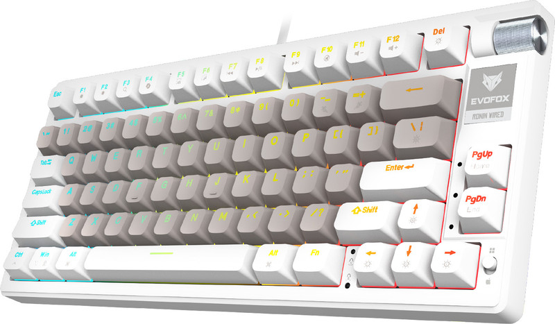 EVOFOX Ronin TKL RGB Mechanical Wired USB Tenkeyless Gaming Keyboard Compatible with Desktop, Laptop, Mac White