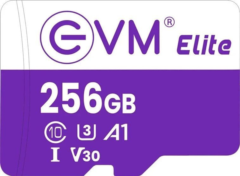 EVM EETF/256GU3 U3 V30 256 GB MicroSDXC Class 10 100 MB/s  Memory Card Compatible with Camera, Mobile, Tablet