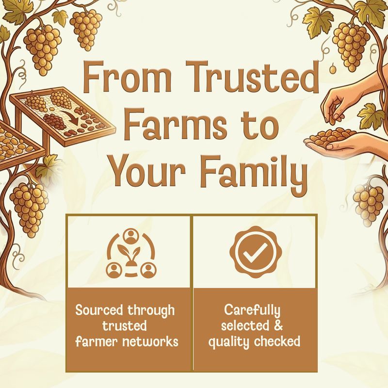 Rivernut 100% Natural Premium Seedless Raisins - Image 4