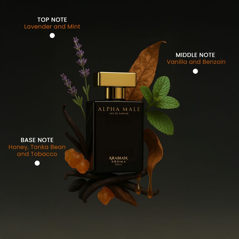 Arabian Aroma Alpha Male & Old Money Perfume - Image 3