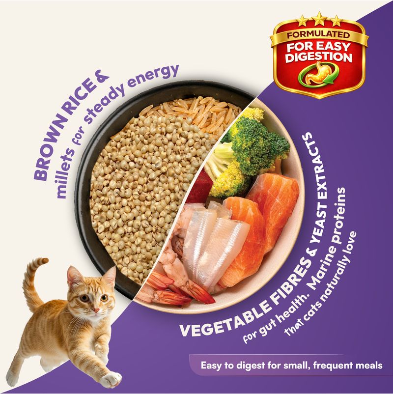 DatGud Adult Dry Cat Food, 7 kg - Image 5
