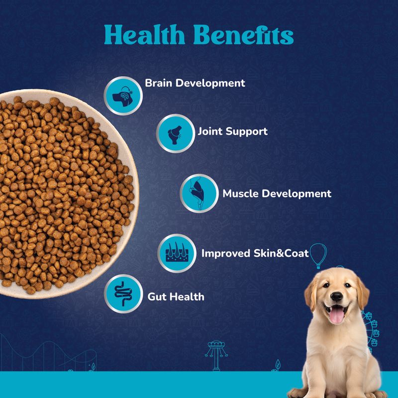 CARNIWEL Fresh Chicken Dry Dog Food 1 kg - Image 4
