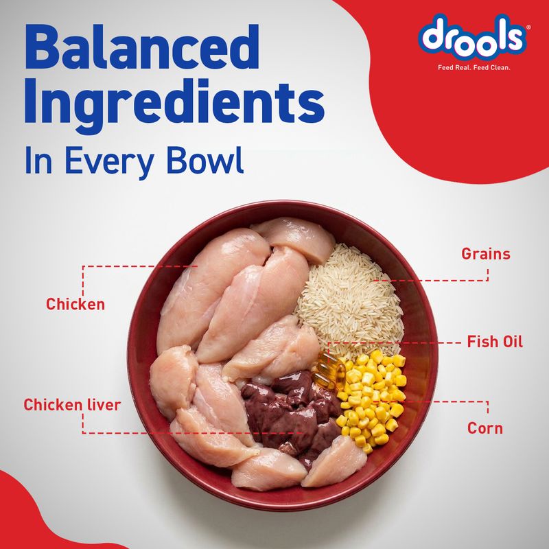 Drools Performance Chicken 10 kg Dry Adult Dog Food - Image 5