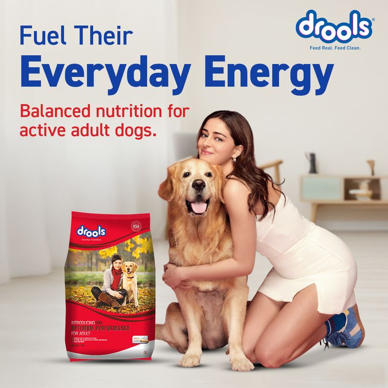 Drools Performance Chicken 10 kg Dry Adult Dog Food - Image 3
