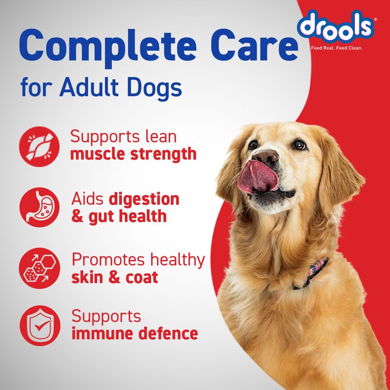 Drools Performance Chicken 10 kg Dry Adult Dog Food - Image 4