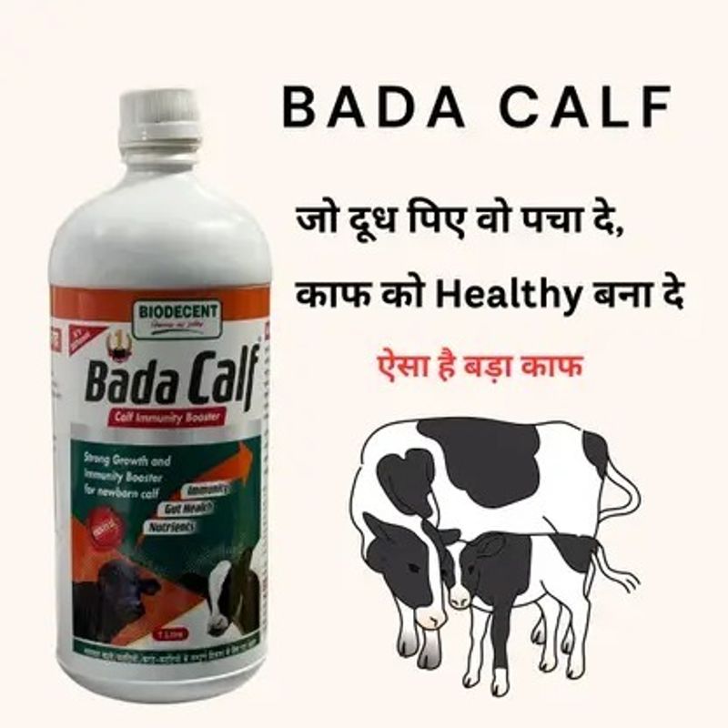 Bada calf Calf Booster & Growth 1000 ML - Image 4