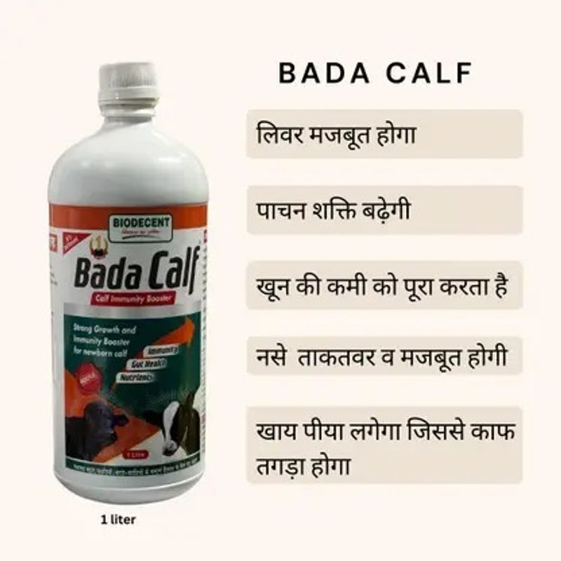 Bada calf Calf Booster & Growth 1000 ML - Image 2