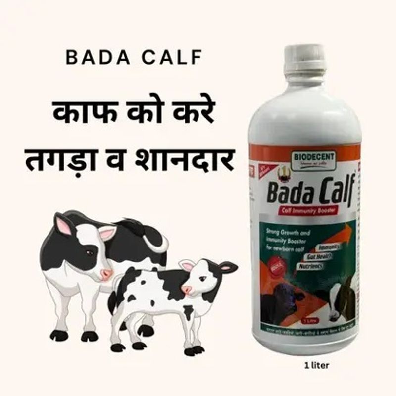 Bada calf Calf Booster & Growth 1000 ML - Image 5