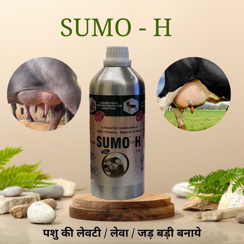 sumo power ultra calcium Sumo-H Liquid Feed Concentrate for Lives...more - Image 5