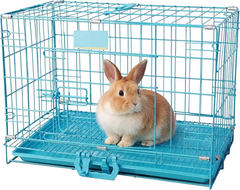 Ghalibb G-34 Compact Travel Carrier for Small Pets - Image 2