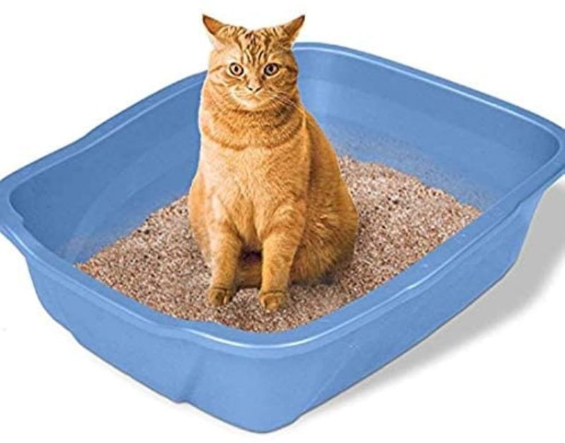 Emily Pets 5L Lavender Pet Litter Tray Refill - Image 4