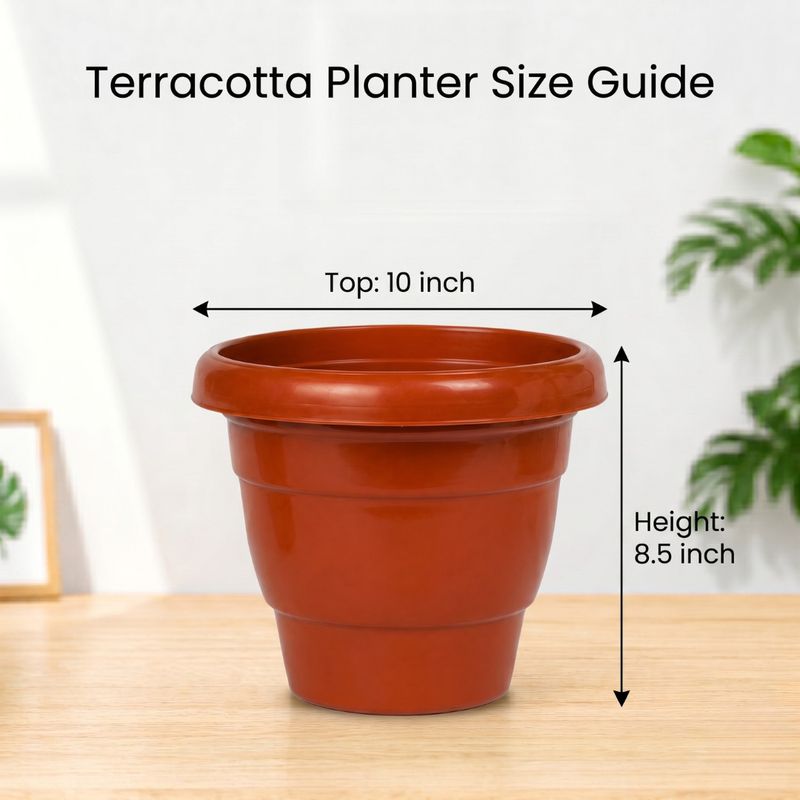 Premium 10 Inch Plastic Flower Pot Set of 6 for Home & Garden Plants Plant Container Set - Image 4