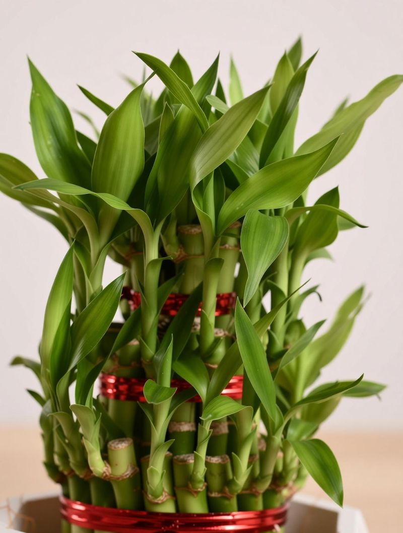 UGAOO Three Layer Bamboo Plant - Image 6