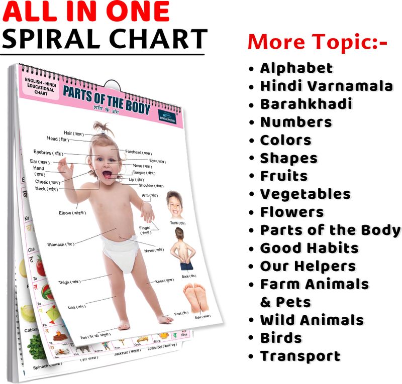 Bookford Publications 16 in 1 Body Parts Chart for Kids - Image 2