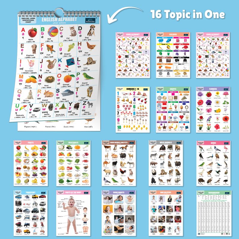 Bookford Publications 16 in 1 Body Parts Chart for Kids - Image 5