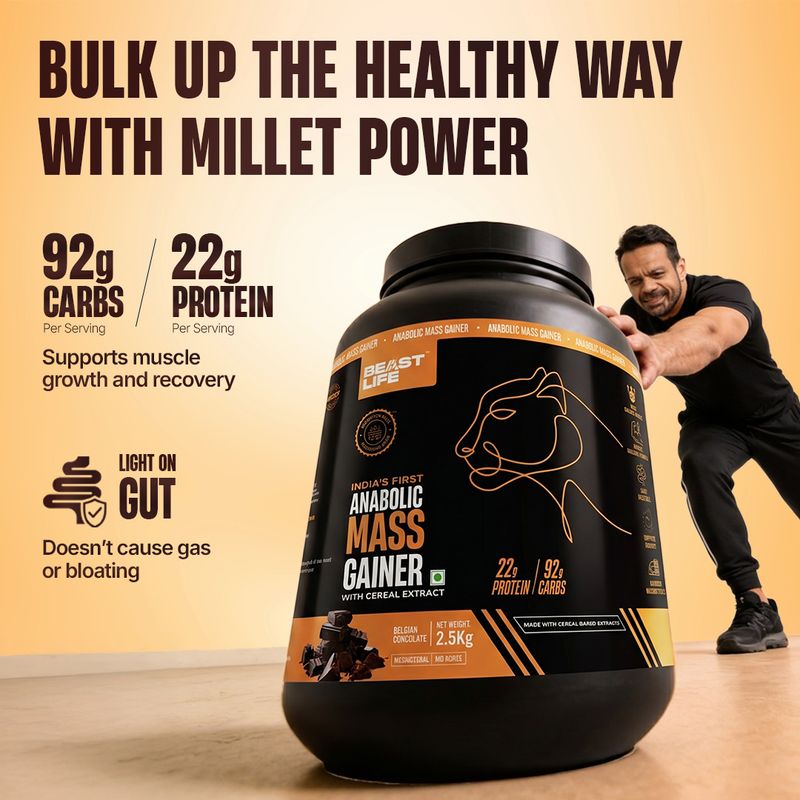BeastLife High Rich Protein Gainer - Image 5