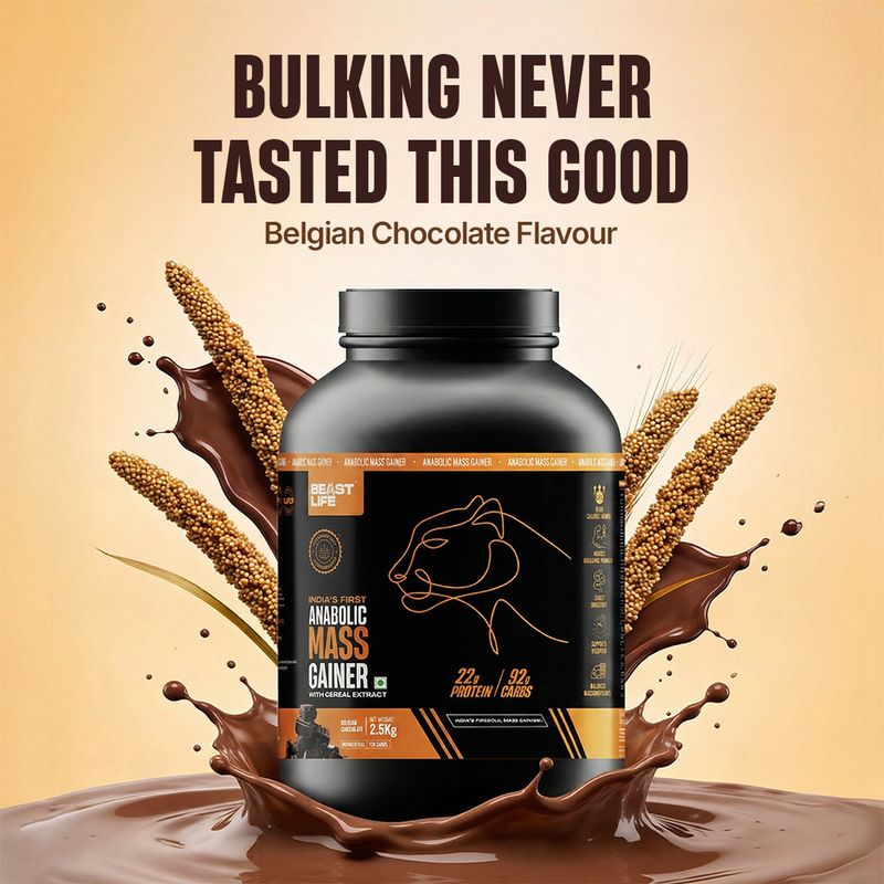 BeastLife High Rich Protein Gainer - Image 3