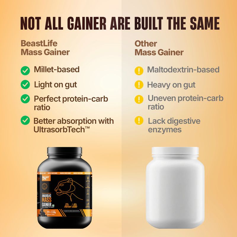 BeastLife High Rich Protein Gainer - Image 4