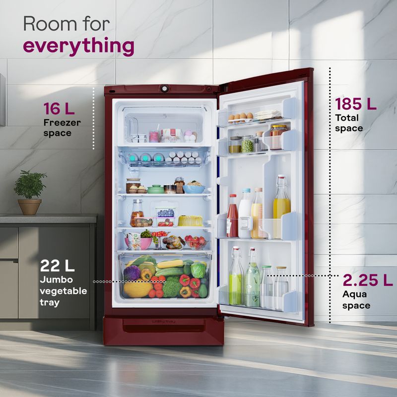 Godrej 185L Direct Cool Single Door Refrigerator - Image 6