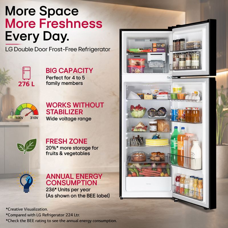 LG 276 L Frost Free Double Door Refrigerator - Image 6