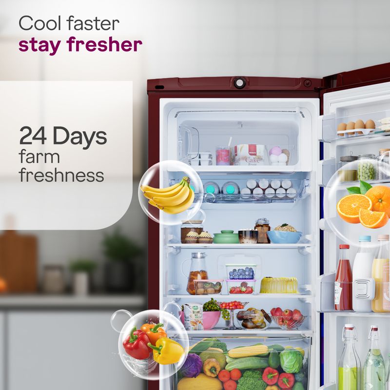 Godrej 185L Direct Cool Single Door Refrigerator - Image 5