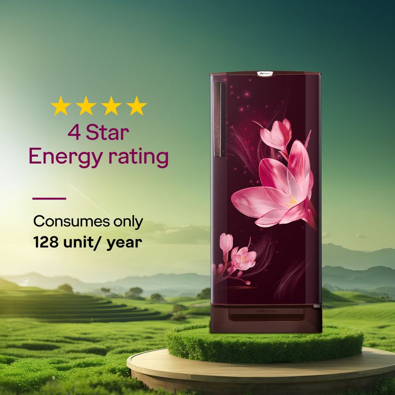 Godrej 185L Direct Cool Single Door Refrigerator - Image 3
