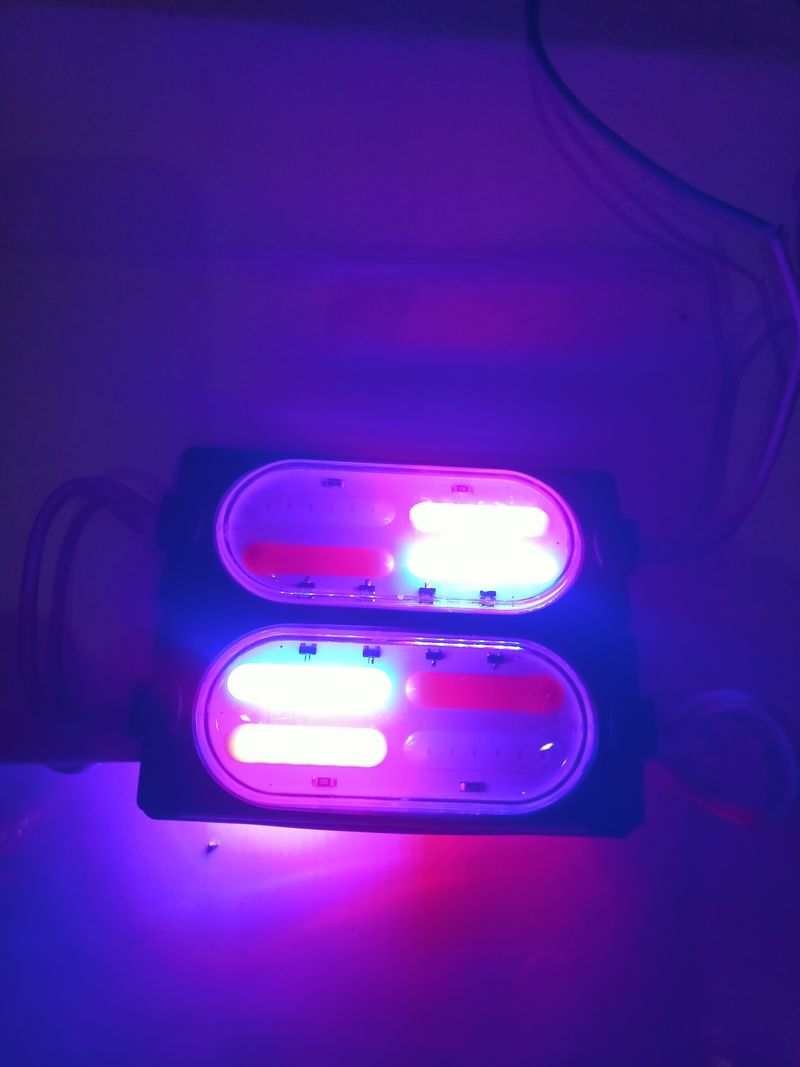 StrawHat 24 LEDs 0.15 m Red, Blue Color Changing, Flickering, Steady Strip Rice Lights (Pack of 2) - Image 4