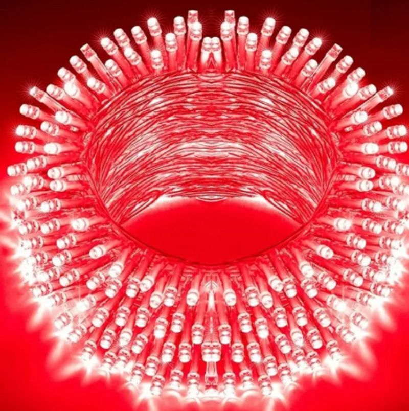 house of common 40 LEDs 11 m Red Color Changing Bulb Rice Lights (Pack of 1) - Image 2