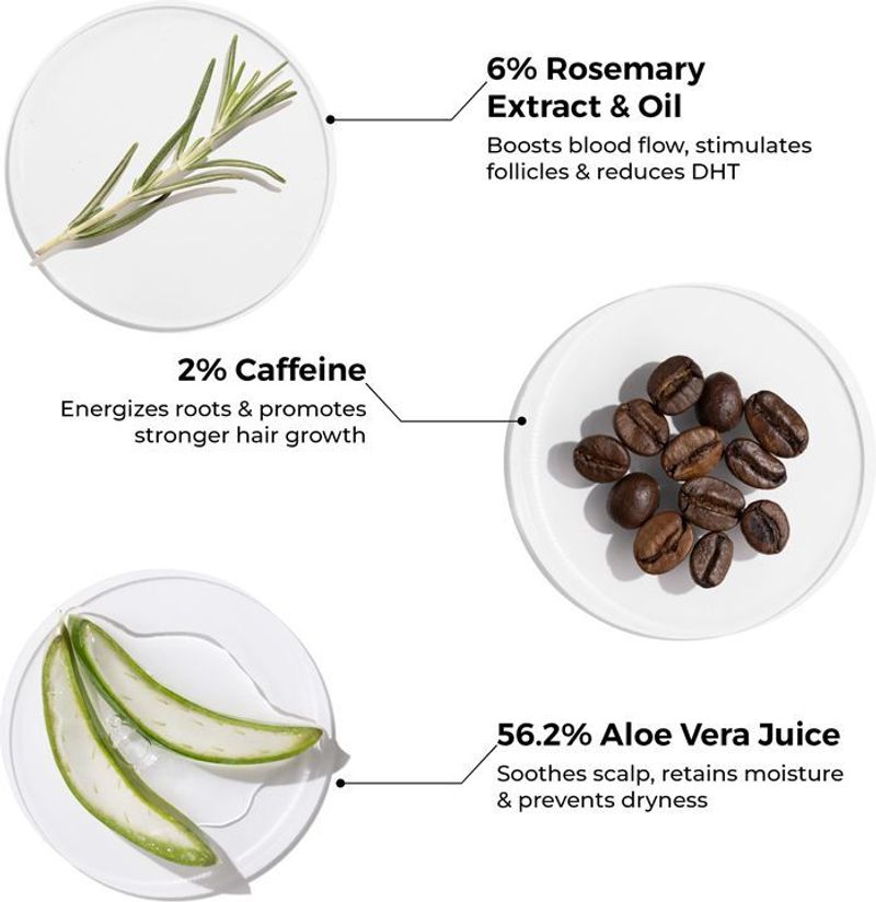 BRILLARE 6% Rosemary Shampoo with 2% Caffeine - Image 6