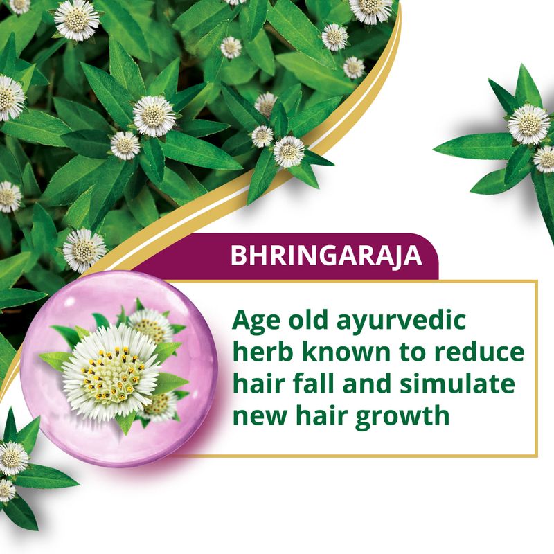 Himalaya Anti-Hair Fall Bhringaraja Shampoo 1L - Image 6