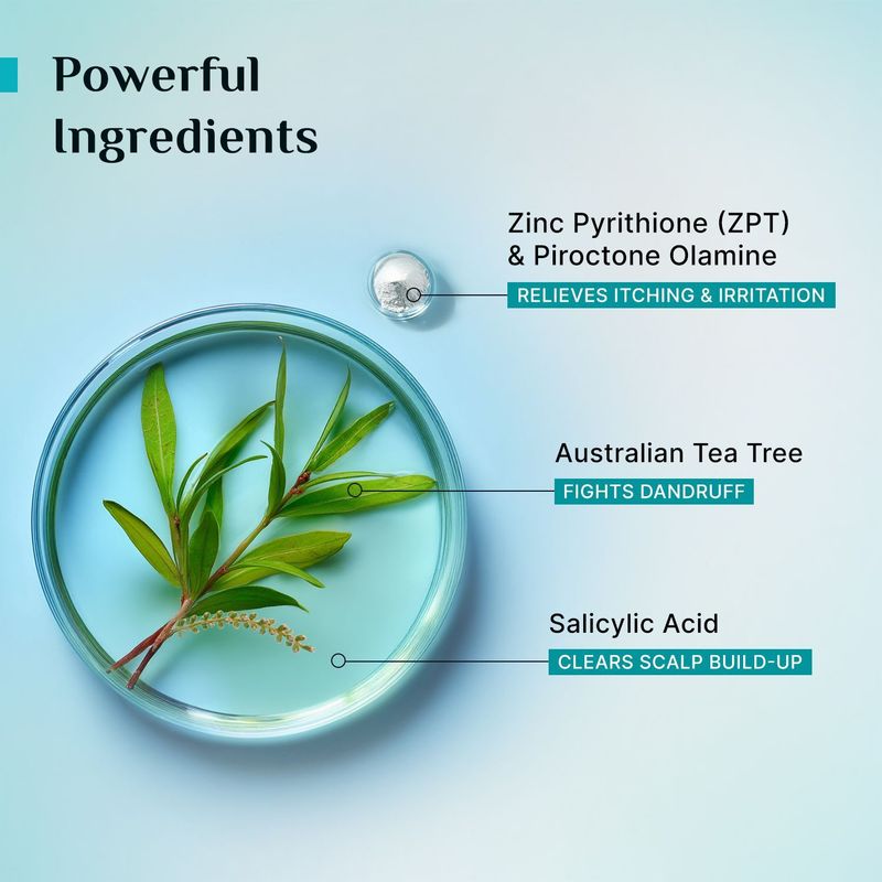 Pilgrim Australian Tea Tree Anti Dandruff Shampoo Pack of 2 - Image 5