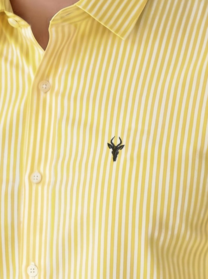 VG BROTHER Men Regular Fit Striped Shirt - Image 5