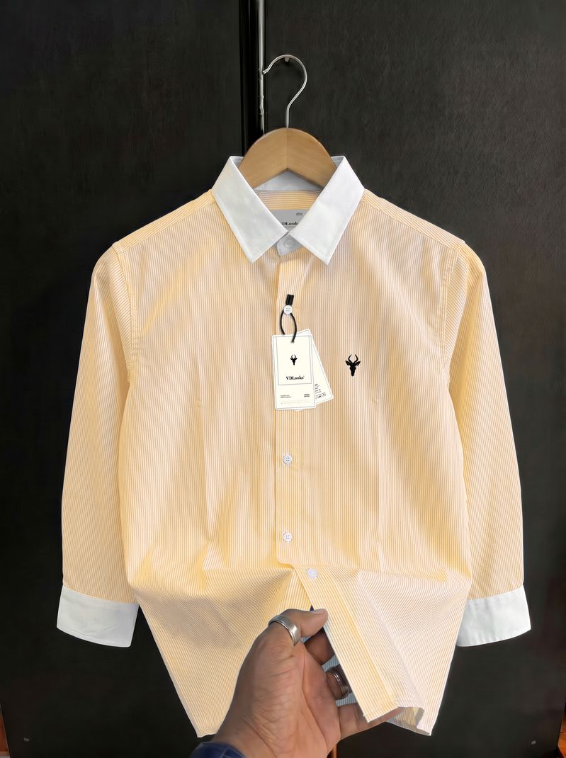vdlooks Men Regular Fit Striped Shirt - Image 2