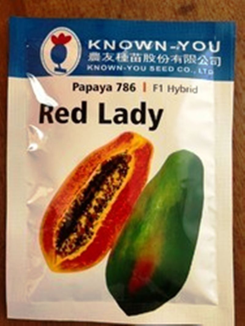 Cloud Farm Red Lady Papaya Hybrid Seeds - Image 2