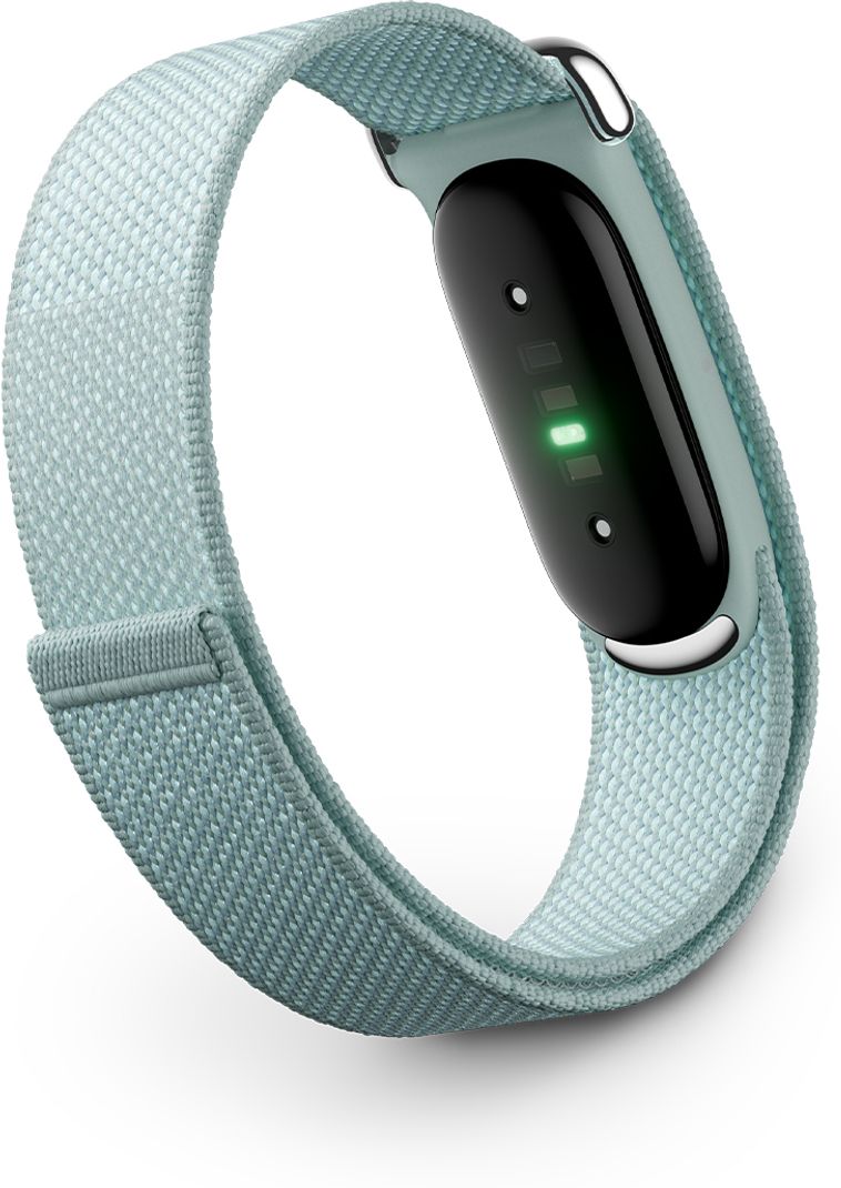 Google Fitbit Air Fog Strap - Image 3