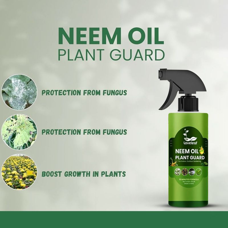 Loveleaf Ready-to-Use Neem Oil Spray 250ml - Image 6