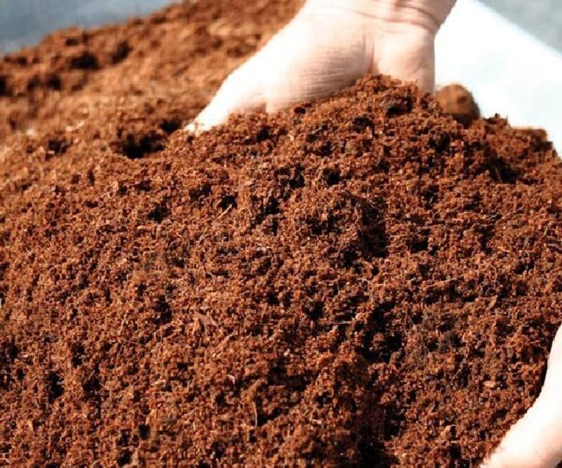 Master Green Cocopeat 5KG Block - Image 4