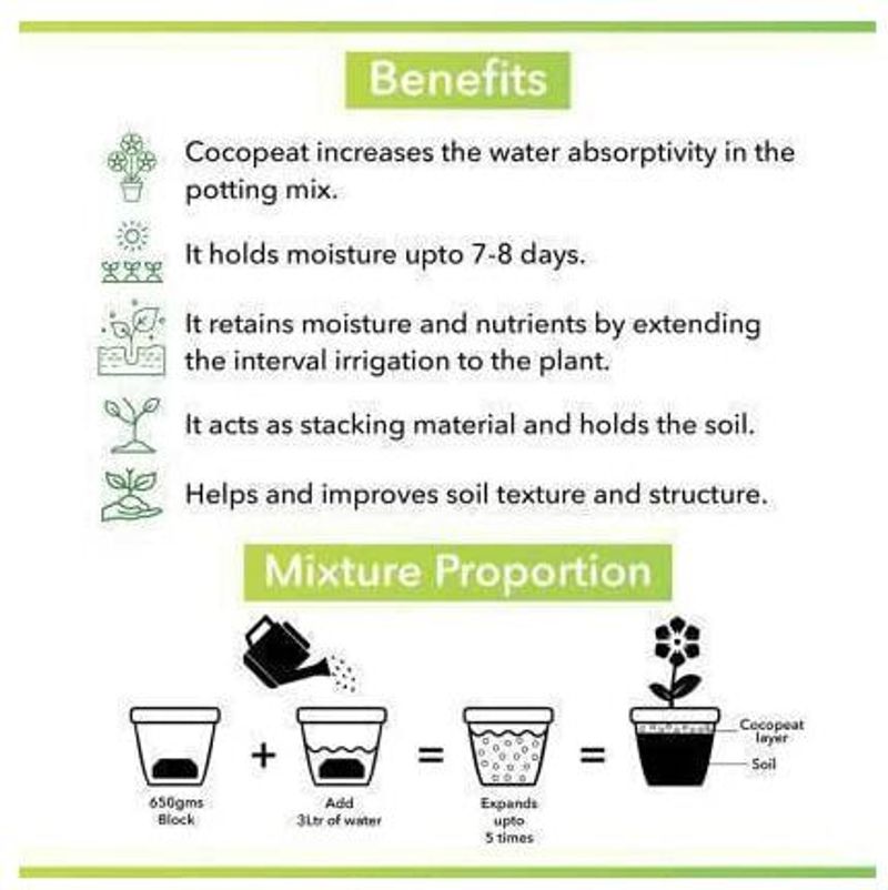 Master Green Cocopeat 5KG Block - Image 5