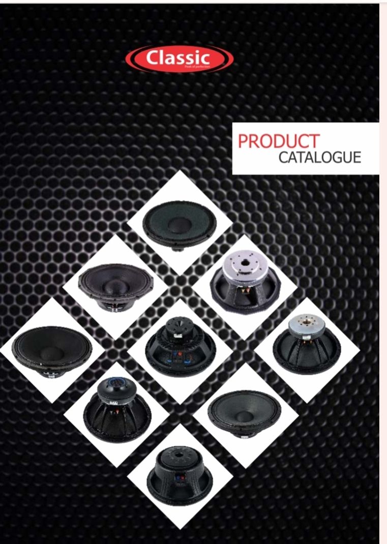 Classic CESR 8 Subwoofer 120 - Image 6