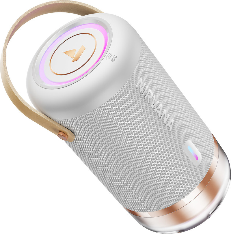 boAt Nirvana Luxe, 360 Spatial Audio,LDAC, Dual Drivers, 15Hrs Battery, App Support 100 W Bluetooth Speaker Ivory White, Mono Channel
