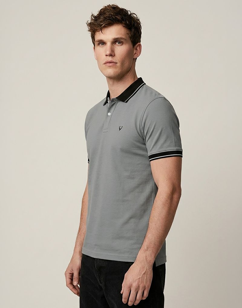 Allen Solly Men Solid Polo Neck Cotton Blend Grey T-Shirt - Image 7