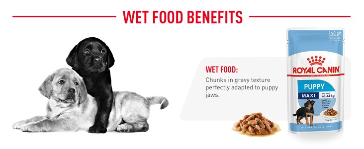 Royal Canin Maxi Puppy 4 kg Dry Young Dog Food Price in India