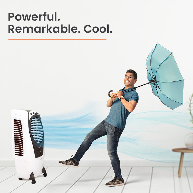 Dapic cooler store