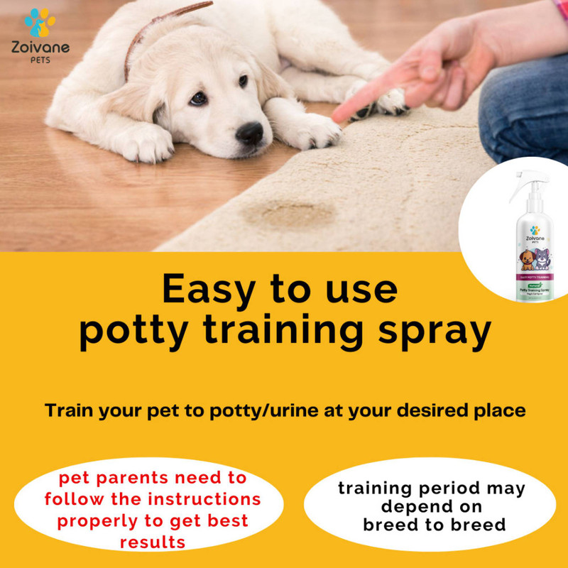 Dog potty repellent hot sale