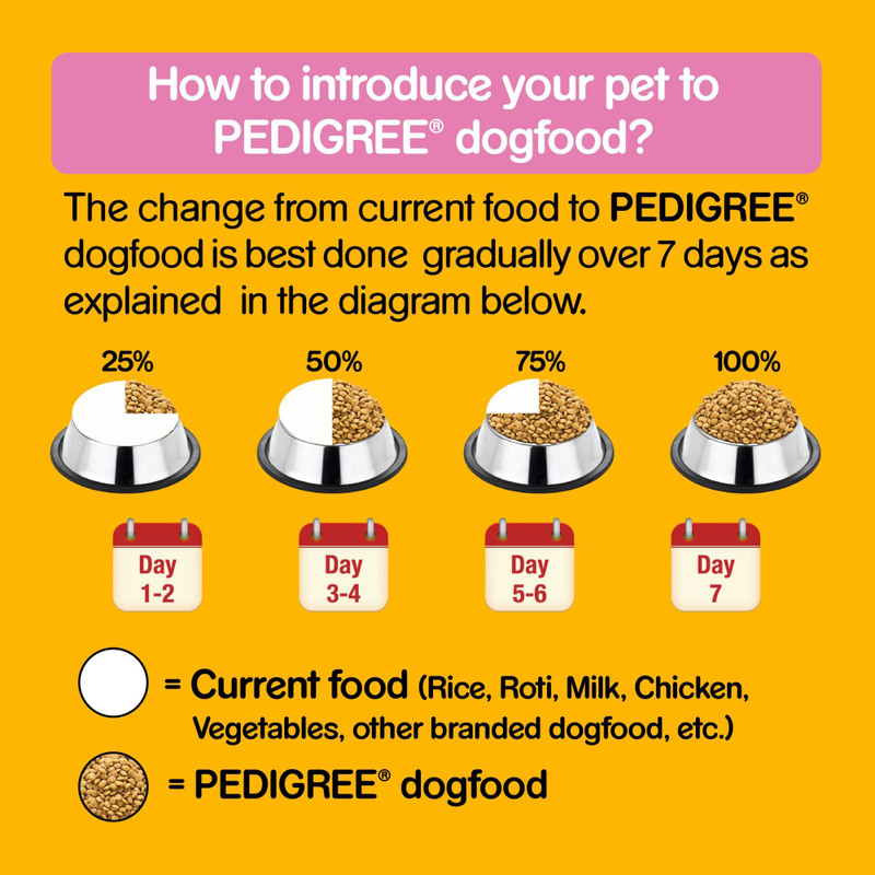 Pedigree clearance puppy 10kg