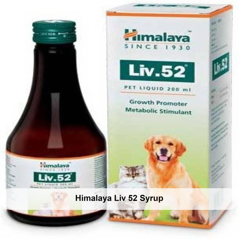 HIMALAYA Liv 52 Syrup For increase food protects the liver regeneration of the liver for Dogs Cats 200ml Pet Health Supplements Price in India Buy HIMALAYA Liv 52